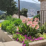 Apartment \